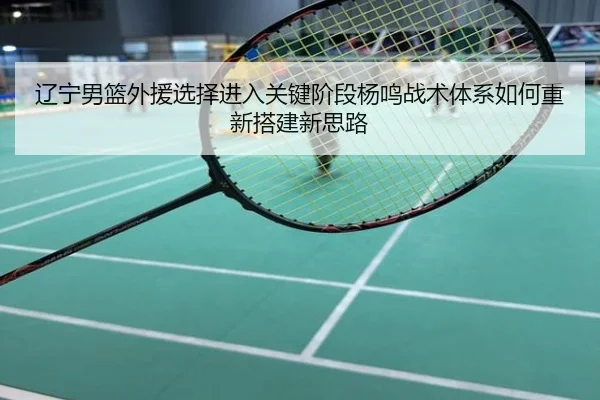 辽宁男篮外援选择进入关键阶段杨鸣战术体系如何重新搭建新思路